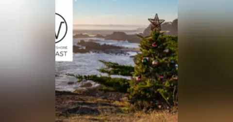 Christmas Trees at Sea, Episode 81