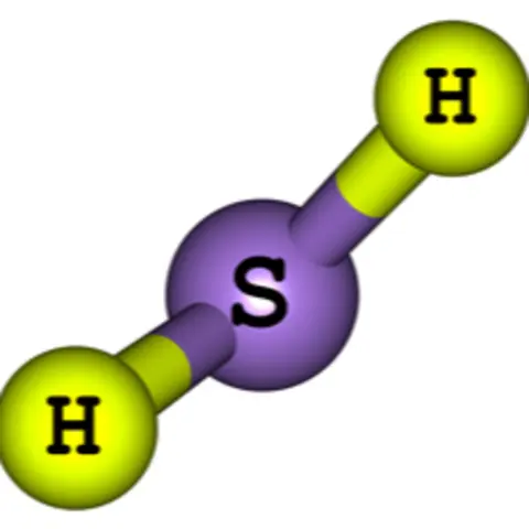 WIALD : Breath Hydrogen Sulfide Testing