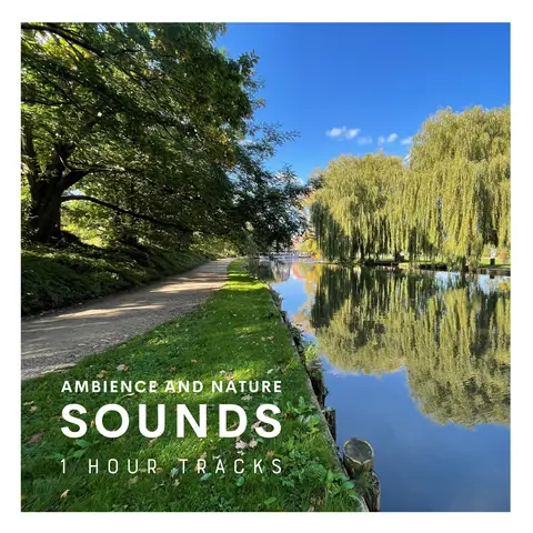 City ambience: Sounds along the river in Odense, Denmark (1 hour)