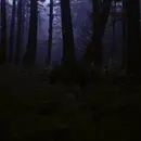 Horror Short Story: THE LABYRINTH