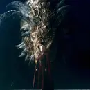 House of the Dragon S2E7 - Fandom Hybrid Podcast #303