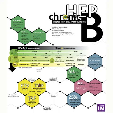 #8 Chronic Hepatitis B (Part 2) Management: 5 Pearls segment