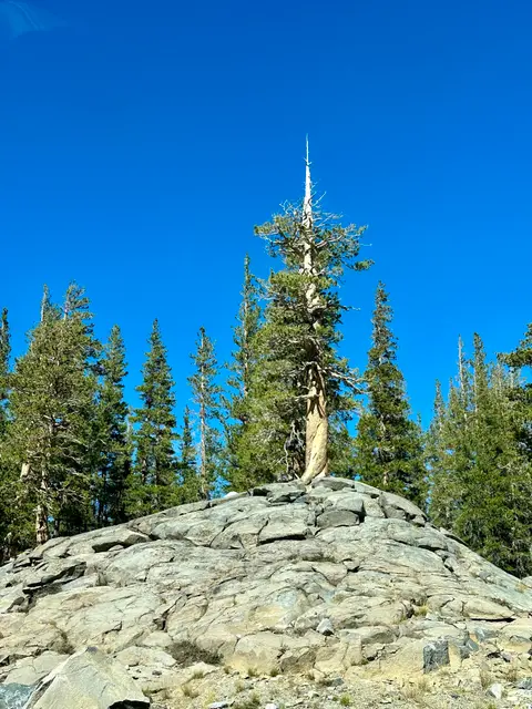 🏔 A keystone in thin air