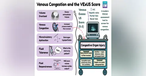 #193 Venous Congestion & VEXUS Interview with Dr. Ross Prager