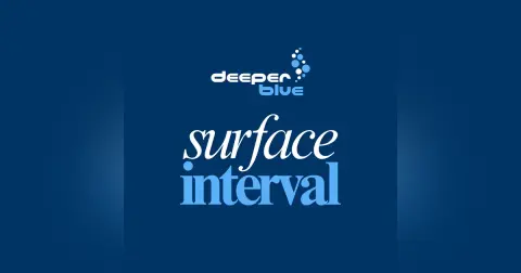 Surface Interval #2 - Thai Cave Rescue Diver, the High Seas Treaty and a 1,000th Dive