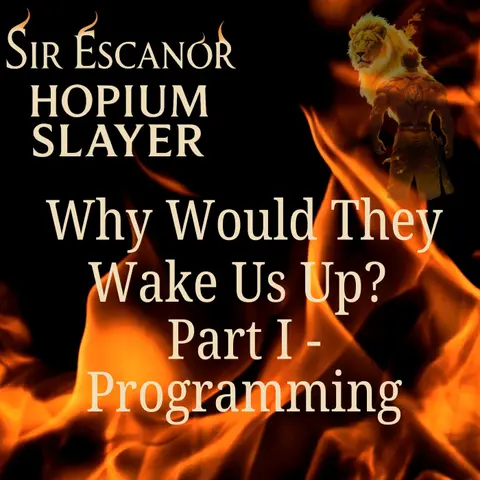 Why Would They Wake Us Up? Part I ~ Programming