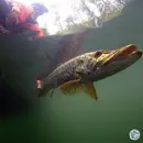 S6, Ep 101: The Chocklett Factory: Fly Fishing Travels, Conservation and New Ventures