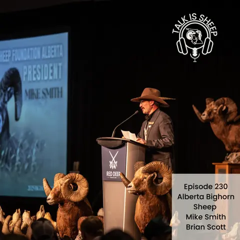Bighorns in Alberta with Mike Smith and Brian Scott