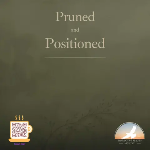 Pruned and Positioned