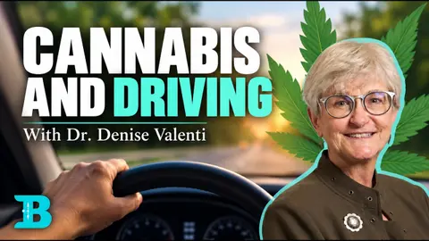 Cannabis and Driving with Dr. Denise Valenti