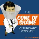 417 - Making Veterinary Medicine Work for the People Who Do It