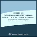 From Slamming Doors to Peace: How to Calm a Dysregulated Child