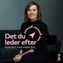 Nye rammer for transformationen med Janni Bové Schou