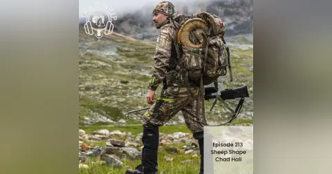 Sheep Shape with Chad Hall