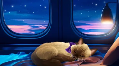 Pets on Private Jets! | Airplane Sounds for Sleeping | Live Stream