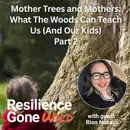 Mother Trees and Mothers: What The Woods Can Teach Us (And Our Kids)