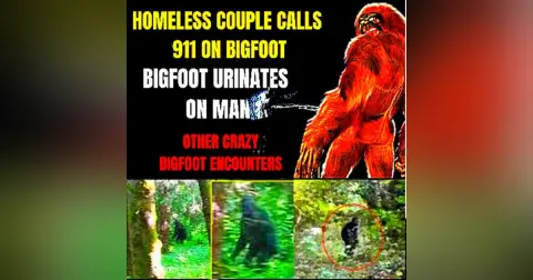 Weird Bigfoot Encounters - Homeless Couple Calls 911 on Bigfoot ACTUAL AUDIO