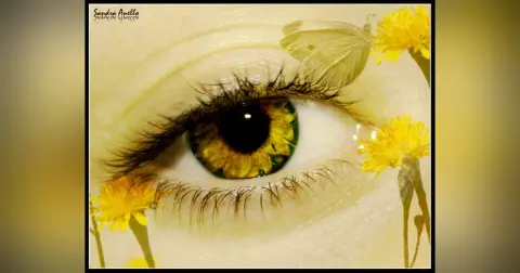 Just Open Your Eyes