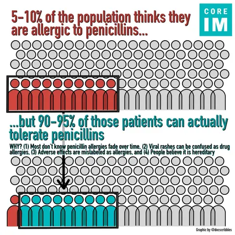 #87 Penicillin Allergy: 5 Pearls Segment