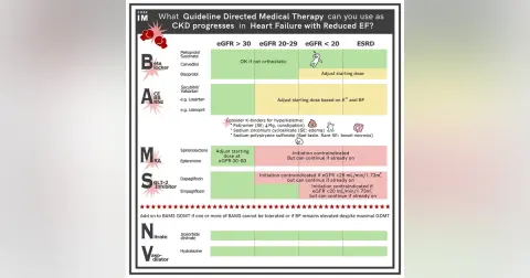 #135 Guideline Directed Medical Therapy Part II: 5 Pearls Segment