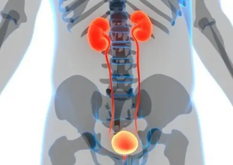 Episode 55 -Management of Acute Urinary Retention in the Emergency Department