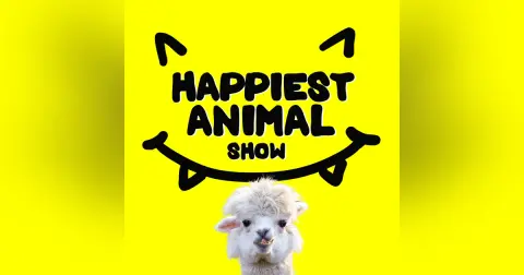 Animals That Look Happy (with improv comedian and actor Colin Mochrie)
