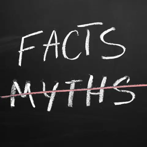 The Seven Facts of Music