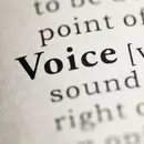 Gender Aligning Voice Modification: The client's perspective