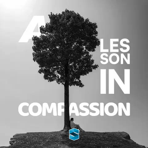 A Lesson In Compassion