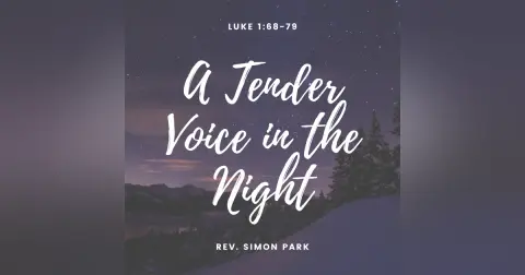 A Tender Voice in the Night