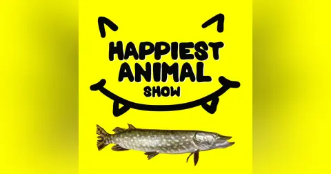 Lake Animals (with comedian Sean Jordan)