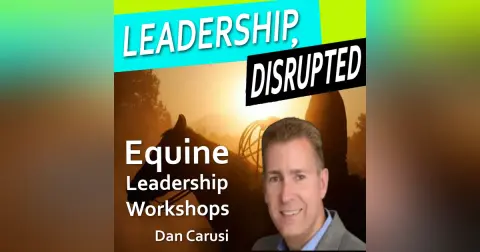Equine Leadership Workshops