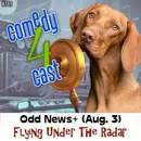 Flying Under The Radar