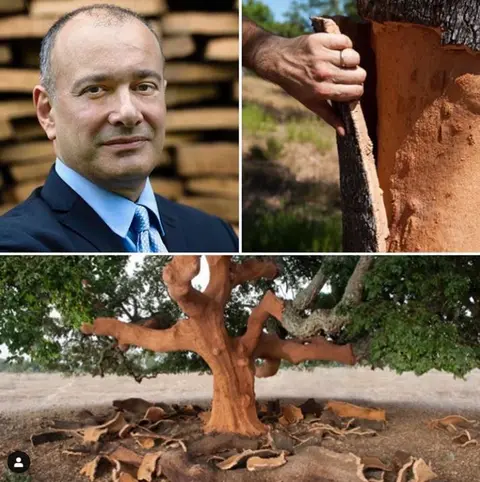 The Global Cork Market: Carlos de Jesus, Amorim Cork