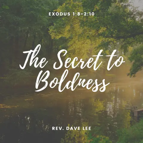 The Secret to Boldness