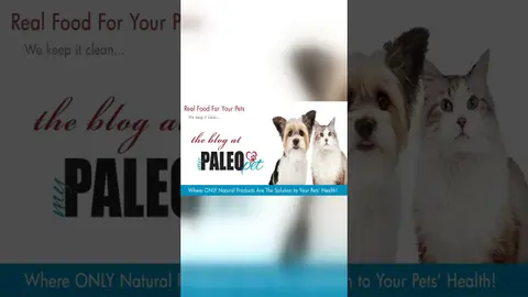 Order fresh, human-grade pet food nationwide