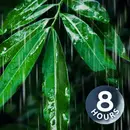 Rain Sounds for Peaceful Sleep | 8 Hours