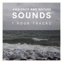 Windy and refreshing: Danish seaside during winter (1 hour)