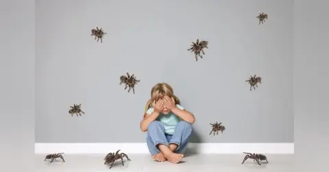 Why Are We Afraid of Spiders?