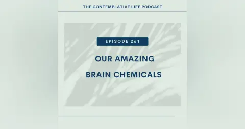 EP 261 Our Amazing Brain Chemicals