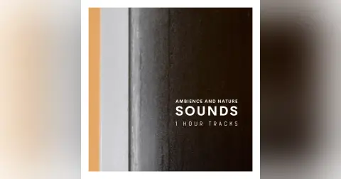 Ambience: Rain on a shed (1 hour)