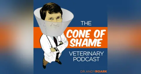 417 - Making Veterinary Medicine Work for the People Who Do It