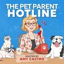 Is Your Pet's Collar a Safety Hazard? What Dog & Cat Parents Need to Know