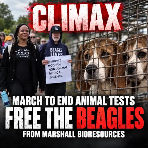 March to End Animal Tests CLIMAX: Free the Beagles