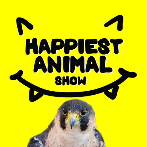 City Animals (with comedian Ian Karmel)