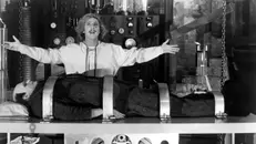 Young Frankenstein (1974) - with author Christopher 'Coyote' Choate