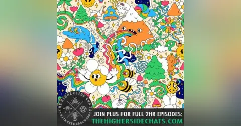Erik Davis |  LSD, Drug Portals, Psychedelic Animism, & The Alien Interface