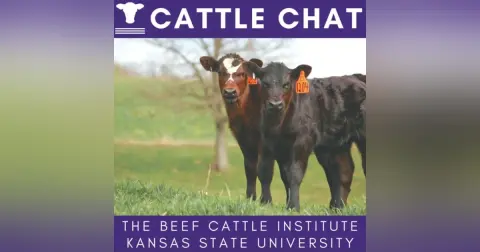 Input Costs, Pasture Turnout, Supplements