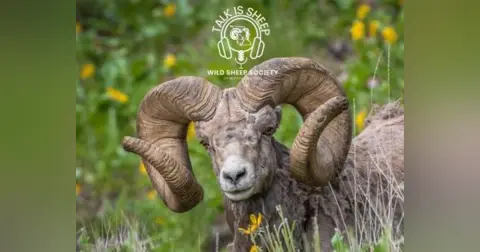 EP 71: The Bone Collector with Travis T-Bone Turner