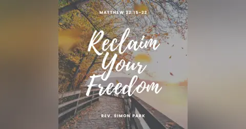 Reclaim Your Freedom